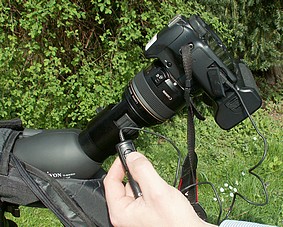 Digiscopie : appareil reflex + adaptateur + longue vue